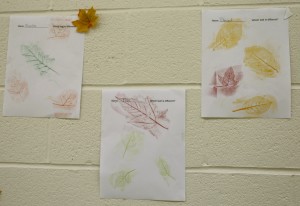 leaf-rubbing-preschool